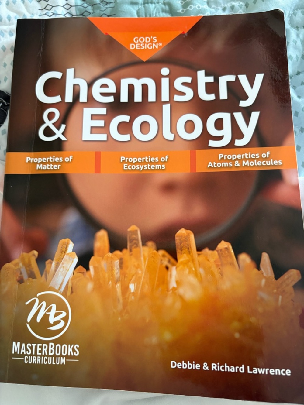 MasterBooks Chemistry & Ecology Textbook - good condition